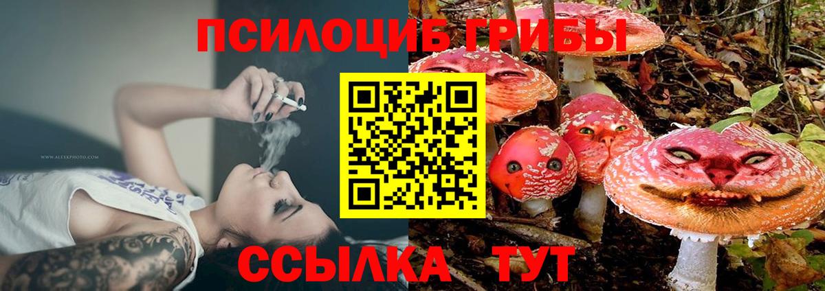 Кимовск  Псилоцибиновые грибы Cubensis  цены   Вход с VPN 